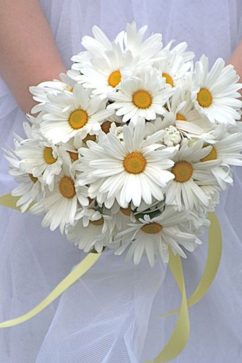 daisy bridal bouquet - 14 Beautiful Bridal Bouquets Daisy Bridal Bouquet, Daisy Wedding Flowers, Beautiful Bridal Bouquet, Bouquet Bride, Daisy Wedding, Daisy Bouquet, Beautiful Wedding Flowers, Centerpieces Wedding, White Bridal Bouquet