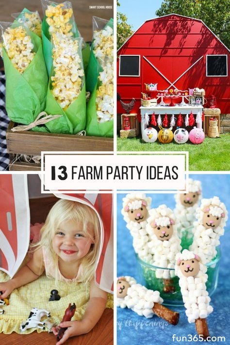 Farm Party Ideas, Barn Birthday Party, Themed Birthday Party Ideas, Farm Themed Party, Barnyard Birthday Party, Farm Theme Birthday, Farm Animal Party, Farm Animals Birthday Party, Farm Themed Birthday Party