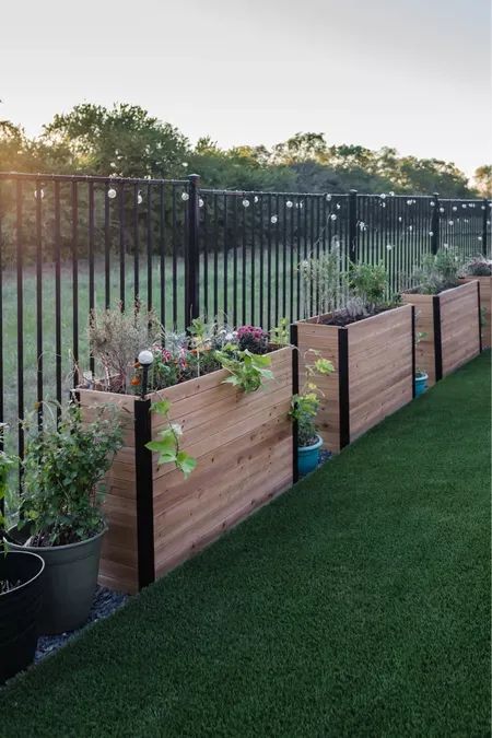 Love my parent’s backyard that has 36” tall raised planter boxes. So easy to put plants in and looks pretty! Linking string lights that we hung that are shatter proof, too #LTKstyletip #LTKhome Tall Planter Boxes, Cheap Privacy Fence, Backyard Raised Garden, New England Arbors, Deck Planters, Fence Planters, Raised Planter Boxes, Raised Patio, Backyard Oasis Ideas