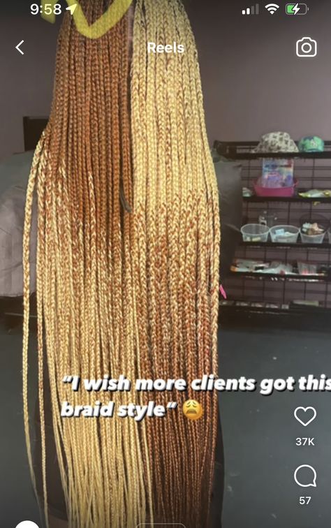 Color Block Braids, Box Braid Colors Ideas Light Skin, Multi Color Braids, Braid Color Combos, Braiding Designs, Long Braid Styles, Mixing Hair Color, Braid Colors, Color Braids