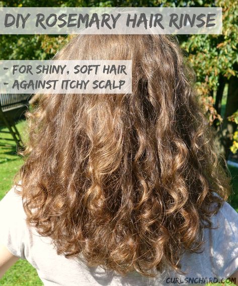 My Top 7 NO POO Herbal Hair Shampoo/Cleanser Recipes Itchy Dry Scalp Remedy, Rosemary Hair Rinse, No Poo Shampoo, Shiny Soft Hair, No Poo Hair, Hair Rinse Recipe, Dry Scalp Remedy, Herbal Hair Rinse, Lemon Hair