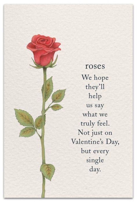 Roses Valentines Day, Magia Das Ervas, Flower Meanings, Symbols And Meanings, Spiritual Symbols, Language Of Flowers, Flower Quotes, Meaning Of Life, Flower Cards