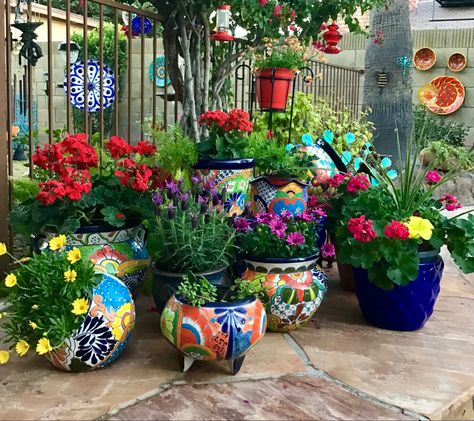 Talavera Pottery Garden, Colorful Patio Decor, House Front Garden, Mexican Pottery Decor, Front Garden Design Ideas, Mexican Garden, Colorful Patio, Mexican Flowers, Front Garden Design