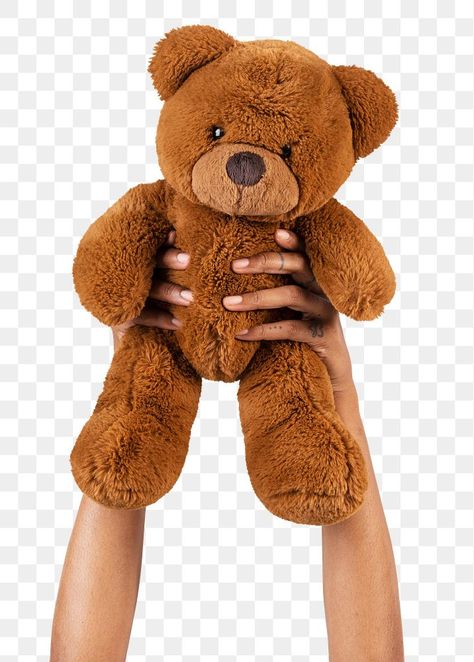 Holding Teddy Bear, Png Teddy Bear, Sticker Transparent Background, Teddy Bear Png, Bear Png, Sticker Transparent, Teddy Bear Toys, Care Bear, Bear Toy