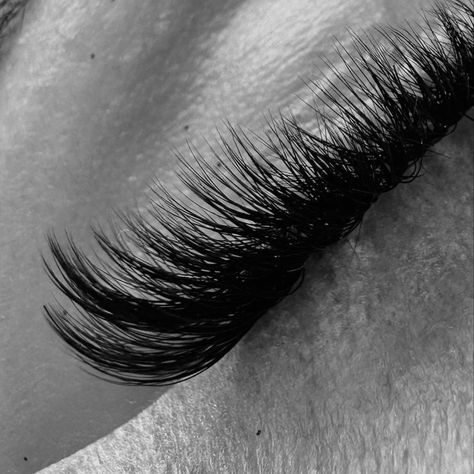 Lash Illustration, Eye Lash Photography, Lash Room Ideas, Becoming An Esthetician, Eyelash Studio, Lash Design, Hair Salon Marketing, Lash Lounge, Esthetician Marketing