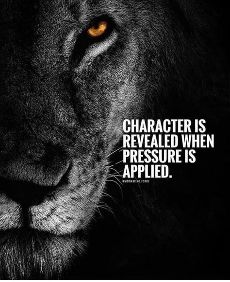 Pressure Quotes, Lion Quotes, Gary Vaynerchuk, Work Motivational Quotes, Warrior Quotes, Motivation Success, Strong Quotes, Badass Quotes, Lesson Quotes