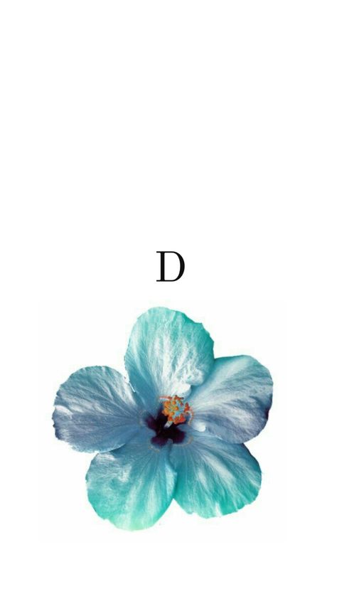 D Initial Aesthetic, Flower Initial Wallpaper, D Initial Wallpaper, Initial Wallpaper, Initial D, Goofy Ahh, Flower Letters, Aesthetic Indie, Letter J