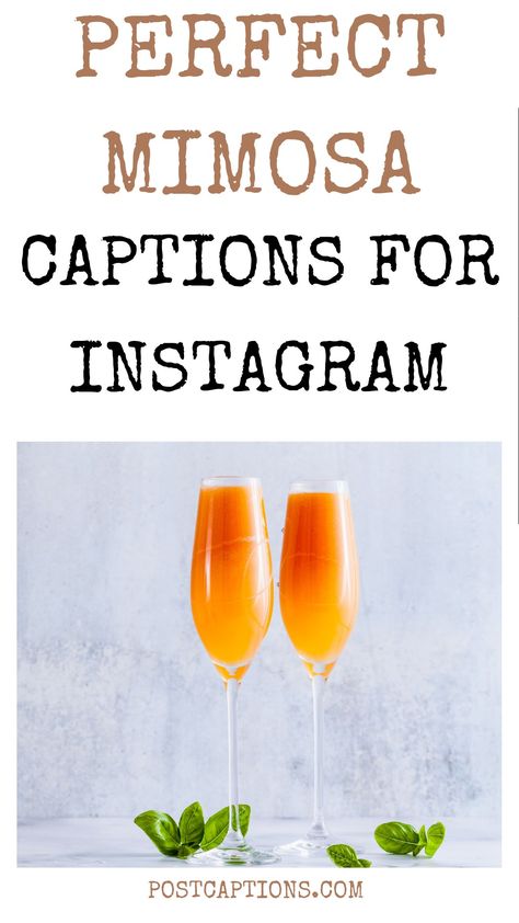 If there’s one thing that can make a Sunday brunch even better, it’s having a festive drink to go with it. Mimosas are perfect for a special occasion or just enjoying a lazy weekend morning. In this blog post, we will share 50 beautiful mimosa captions, quotes, and puns that are perfect for your Instagram pics. Cheers! Mimosa Instagram Story, Mimosa Quotes, Mimosas Quotes, Cute Quotes For Instagram, Caption For Girls, Girls Brunch, Wednesday Quotes, Lazy Weekend, Festive Drinks