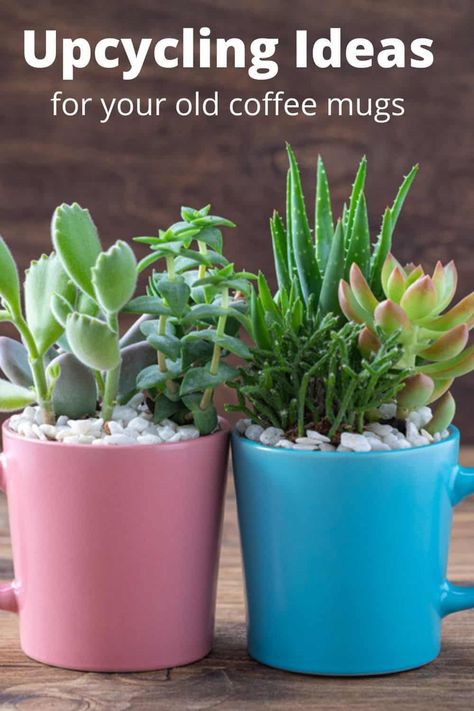 plants in old coffee mugs with small stones Coffee Mugs Diy, Coffe Mug Cake, Coffee Cup Crafts, Mugs Diy, Coffee Mug Crafts, Gift Wrapping Station, Homemaking Tips, Earth Day Crafts, Mug Crafts