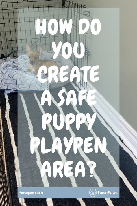 puppy playpen Litter Of Puppies Pen, Puppy Playpen Ideas Indoor, Puppy Play Pen Ideas, Puppy Pen Ideas, Puppy Playpen Ideas, Play Pen Ideas, Playpen Ideas, Puppy Pen, Dog Play Area