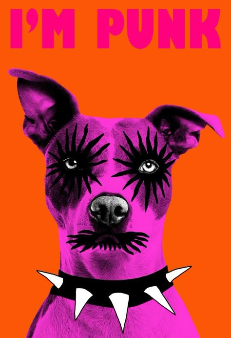 Tyler Spangler, Arte Punk, Pop Art Wallpaper, Arte Animal, Hippie Art, Buy Prints, Art Plastique, Album Art, Vintage Postcards