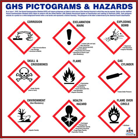 GHS Pictogram | OSHA Safety Poster for Workplace Safety Signs And Symbols, Health And Safety Poster, Safety Slogans, Montessori Science, Chemical Safety, Border Background, Hazard Sign, Different Symbols, Safety Posters