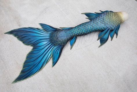 Blue And Green Mermaid Tail, Blue Mermaid Tail Aesthetic, Dark Blue Mermaid Tail, Dark Mermaid Tail, Mermaid Tail Green, Finfolk Mermaid Tails, Mermaid Tail Blue, Siren Tail, Gold Mermaid Tail