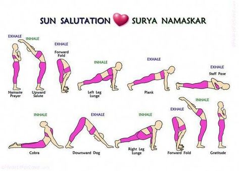 The Yoga Postures of Surya Namaskar or Sun Salutations in 12 steps. A perfect way to remember to do it, to practice it and to do it in the proper sequence. Sun Salutation Yoga, Yoga Sun Salutation, Ashtanga Vinyasa Yoga, Yoga Vinyasa, Surya Namaskar, Yoga Beginners, Yoga Iyengar, Basic Yoga, Yoga Moves