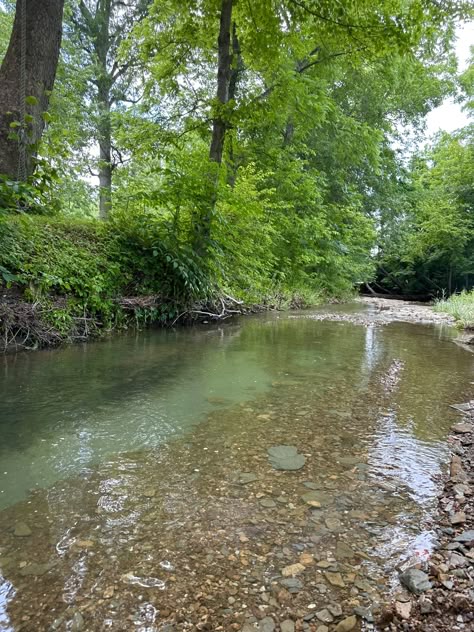 House By Creek, Creek Background, Creek Aesthetic, Granola Boy, Forest Creek, House With Land, Twisted Ankle, Nature Witch, English Summer