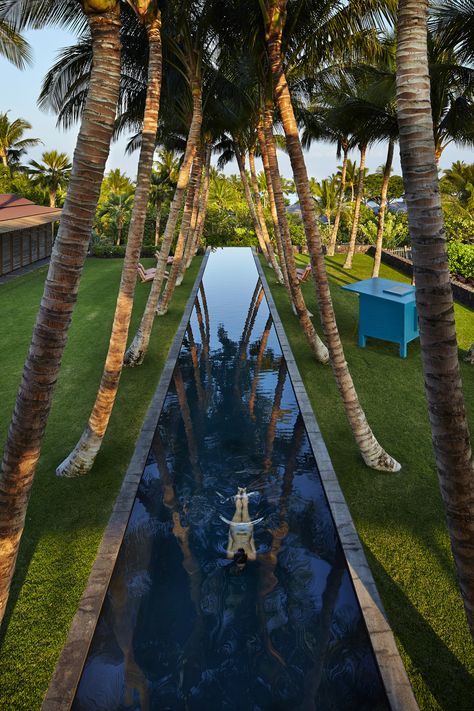 This lap pool with salt water...Portfolio: Benjamin Benschneider Photography Olson Kundig, Hawaiian Homes, Diy Swimming Pool, Small Pool Design, Room Cozy, Bedroom Color, Dream Pools, Lap Pool, Backyard Pool Designs