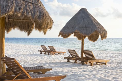 Excellence Playa Mujeres, Beaches In Mexico, Best Beaches In Mexico, Excellence Resorts, Beach Destinations, Vacation Deals, Plunge Pool, North Beach, Best Beaches