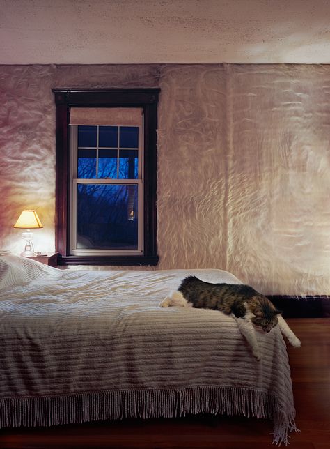 Untitled Interior (fur wall), 2012 Fur Wall, Wellesley Massachusetts, Trip Room, College Room, Sensory Room, Walls Room, Dream Room Inspiration, Beauty Room, Interior Inspo