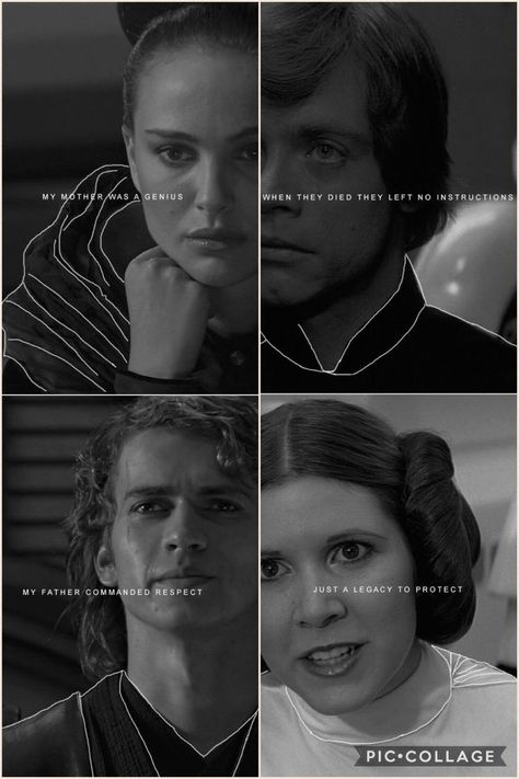 Disneysea Tokyo, Skywalker Family, Anakin Vader, Anakin And Padme, Star Wars Quotes, Star Wars Anakin, Star Wars Love, Star Wars Jokes, Padme Amidala