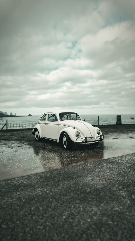 Volkswagen Beetle Wallpaper, Vw Beetle Wallpaper, Beetle Wallpaper, Volkswagen Beetles, Simple Wallpaper, Beetle Car, Dream Life House, Vw Vintage, Miniature Cars