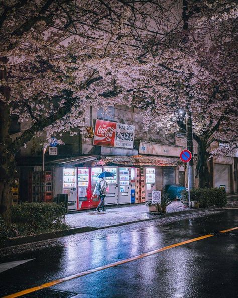 Tokyo on a rainy day . . 📸 Japan Photo Collection of the day by nickelpack . . . . #daily_photo_japan #livinginjapan #japan #japantravel #japanwanderlust #japanfun #japantravelguide #japantravelphoto #japantrip #japantraveller #travel #traveller #sightseeing #sightseeingjapan #beautifuljapan #beautiful #beauty #kyoto #kyotojapan #kyototrip #osaka #osakajapan #japanlife #lifeinjapan #sakura #cherryblossoms #rainyday Kyoto Rainy Day, Japan Rainy Day, Rainy Japan, 3 Bff, Japan Travel Guide, Tokyo Street, On A Rainy Day, Japan Photo, Osaka Japan