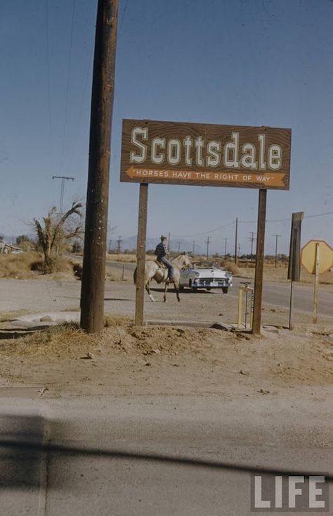 Old Monuments, Sweetheart Of The Rodeo, Nina Leen, Arizona History, Into The West, Desert Dream, Desert Life, Arizona Travel, Arizona Usa