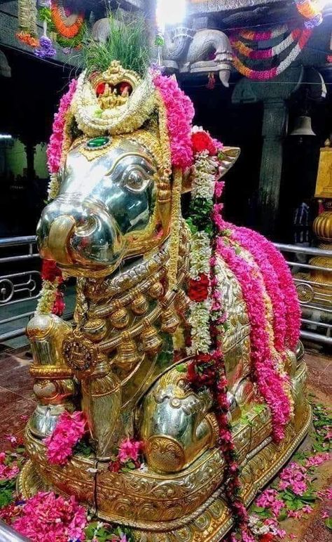 Goddess Parvati, The Head, Lord Shiva, Shiva, Statue, Flowers