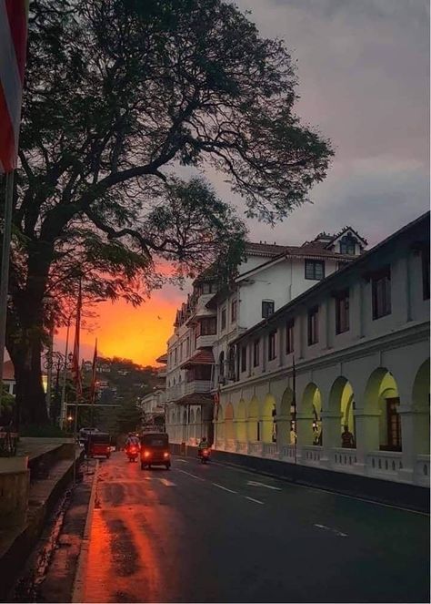 #srilankatravel #srilanka #kandy Kandy Sri Lanka Photography, Sri Lanka Photography, Kandy Sri Lanka, Traditional Rose, Love Pink Wallpaper, Beautiful Love Images, Traditional Roses, Valentine Day Special, Kandy