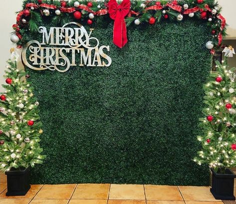 Diy Xmas Backdrop, Christmas Flower Wall Backdrop, Grass Wall Christmas Backdrop, Christmas Selfie Wall Ideas, Photobooth Christmas Backdrop, Photobooth Ideas For Christmas, Christmas Wall Backdrop, Christmas Event Backdrop, Christmas Diy Photo Backdrop