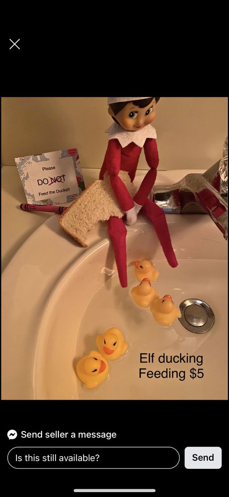 Elf On The Shelf Rubber Ducks, Wlf On The Shelf, Elf On Shelf Funny, Duck In Water, Duck Feed, Elf Ideas Easy, Awesome Elf On The Shelf Ideas, Elf Activities, Xmas Elf