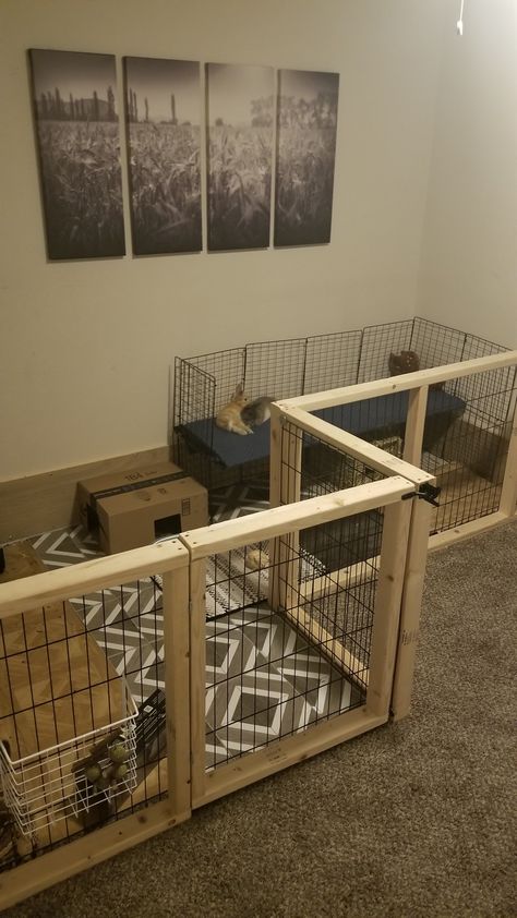 Wood Rabbit Cage, Bunny Exercise Pen, Diy Indoor Bunny Enclosure, Diy Bunny Enclosure, Diy Bunny Playpen, Diy Bunny Cage Indoor House Rabbit Ideas, Rabbit X Pen Setup, Bunny Pen Indoor, Rabbit Enclosure Indoor