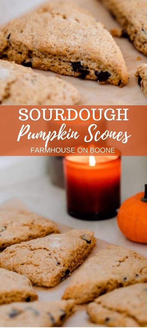 Sourdough Pumpkin, Pumpkin Scones Recipe, Pumpkin Cobbler, Farmhouse On Boone, Recipe Using Sourdough Starter, Sourdough Starter Discard Recipe, Pumpkin Ice Cream, Pumpkin Scones, Sourdough Starter Recipe