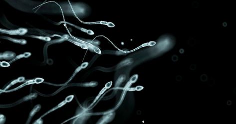 A new kind of male birth control may be on the horizon - Researchers will test a hormone gel in 2018. Artificial Insemination, Low Sperm Count, Fertility Supplements, Sperm Donor, Sperm Count, Male Fertility, The Next Big Thing, Dna Test, Fertility