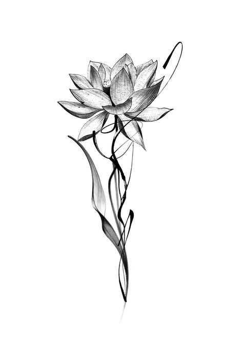 3d Lotus Flower Tattoo, Lotus Drawing, Floral Back Tattoos, Hourglass Tattoo, Yin Yang Tattoos, Best Tattoo Designs, Black Ink Tattoos, Back Tattoos, Dope Tattoos