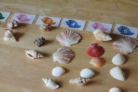 counting shells preschool math #MGTblogger Mermaid Math Preschool, Commotion In The Ocean Activities, Beach Art Activities, Ocean Unit Preschool, Under The Sea Eyfs, Inside Ocean, Sharing A Shell, Pirate Maths, Commotion In The Ocean