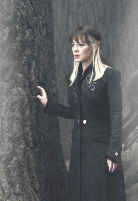 Narcissa Malfoy Narcissa Malfoy, Lavender Brown, Hair Streaks, Mom Hairstyles, Harry Potter Cast, Harry Potter Aesthetic, Penteado Cabelo Curto, Wizarding World Of Harry Potter, Harry Potter Series