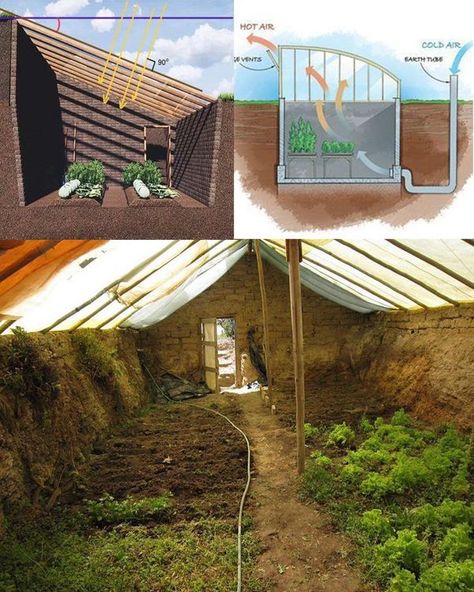 How to build a Walipini Greenhouse... - Plants and gardening Walipini Greenhouse, Underground Greenhouse, Solar Greenhouse, Shed Of The Year, Build A Greenhouse, Earth Sheltered, Home Greenhouse, Greenhouse Gardening, Garden Structures