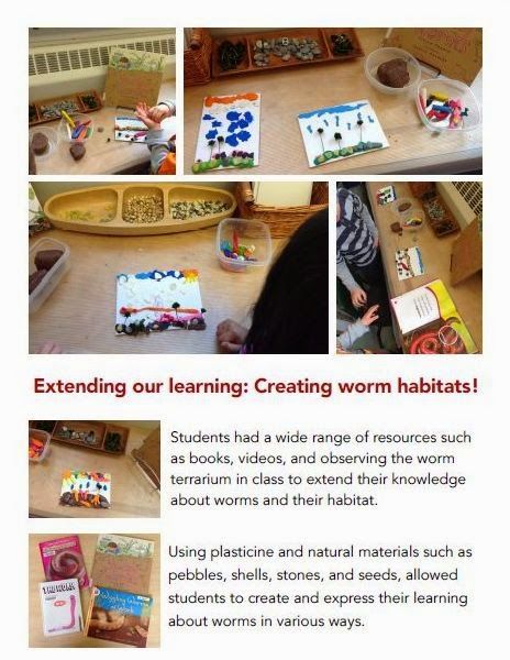 Wonders in Kindergarten: Building an earth caring classroom community: Part 2 Inquiry Kindergarten, Kindergarten Building, Kindergarten Inquiry, Purposeful Play, Inquiry Learning, Steam Ideas, Plant Insects, Spring Kindergarten, Inquiry Based Learning