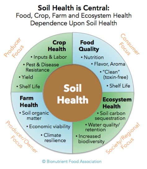 Agriculture Education Lessons, Soil Microorganisms, Soil And Water Conservation, Veggies Garden, Parasitic Worms, Soil Science, Soil Fertilizer, Soil Conservation, Soil Amendments