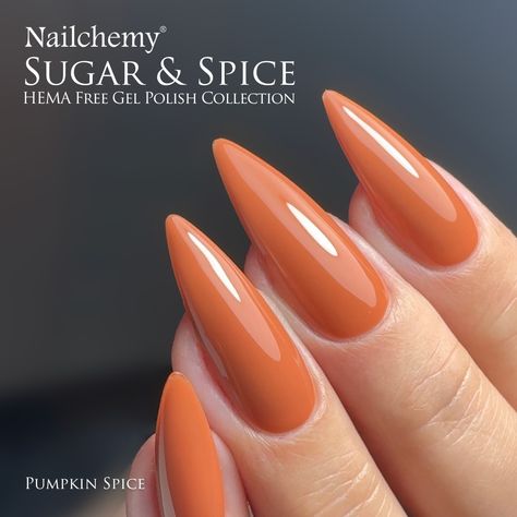 🍂✨ Introducing the Sugar & Spice HEMA Free Gel Polish Collection! Embrace the elegance of autumn with our latest line, crafted with excellent performance. 🌟 Dive into the season with these six stunning shades: 🍎 Candy Apple - A muted berry red, perfect for festive flair. 🌰 Toasted Nutmeg - A deep, warm brown that echoes the earthy tones of autumn. ☕ Caramel Latte - A caramel-toned yellow that brings your favourite seasonal beverage to your nails. 🎃 Pumpkin Spice - A rich terracotta orange, ... Nails Pumpkin, Almond Fudge, Spice Collection, Caramel Latte, Cinnamon Swirl, Candy Apple, Candy Apples, Nail Technician, Warm Brown