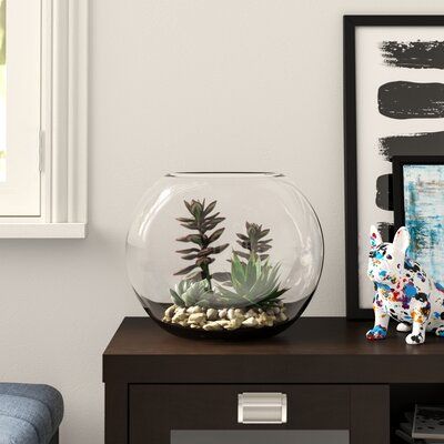 Round Glass Bowl Decor Ideas, Glass Bowl Decor Ideas Centerpieces, Glass Bowl Decor, Glass Fish Bowl, Large Glass Bowl, Bowl Decor, Goldfish Bowl, Beautiful Terrariums, Wooden Dough Bowl