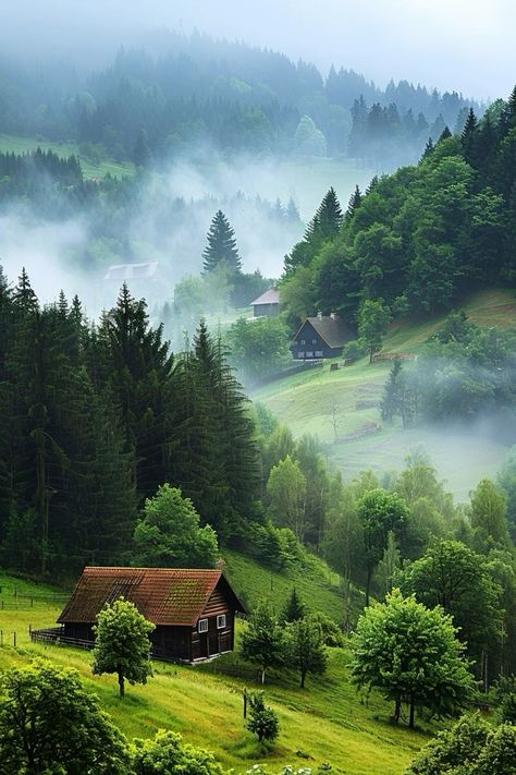 🌲🌑 Enchanted Woods: The Black Forest, Germany's Mysterious Heartland 🇩🇪 #travel #europe #germany #forest #mountain #blackforest #bucketlist #nature #traveldestination #travelideas Black Forest Germany Photography, Germany Nature Beautiful Places, Scenery Forest, Forested Mountains, Blackforest Germany, Black Forest Photography, Germany Forest, Castle In The Woods, Black Forest Aesthetic