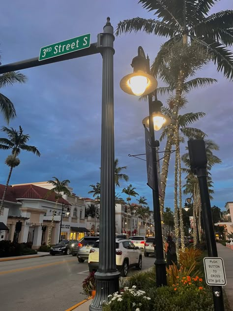 Street at Night 
Cars Life In Florida Aesthetic, Florida Neighborhood Aesthetic, Miami College Aesthetic, Florida Night Aesthetic, Florida Aesthetic Night, Naples Florida Aesthetic, South Florida Aesthetic, Florida Astethic, Florida Life Aesthetic