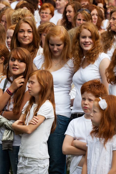 Wikipedia: "Redheadday is the name of a Dutch summer festival that takes place each first weekend of September in the city of Breda, in the Netherlands."  Facts about redheads: "Red hair is seen on the heads of only less than one percent of people.in the world. Most redheads live in the U.K., Ireland, and former colonies of U.K. like Australia.  The highest percentage of natural Redheads in the world is in Scotland (13%), followed closely by Ireland with 10%. In the US, about 2... Redhead Facts, Redhead Day, Natural Red Hair, Red Haired Beauty, Red Hair Woman, Natural Redhead, Beautiful Red Hair, Girls With Red Hair, Girls Red