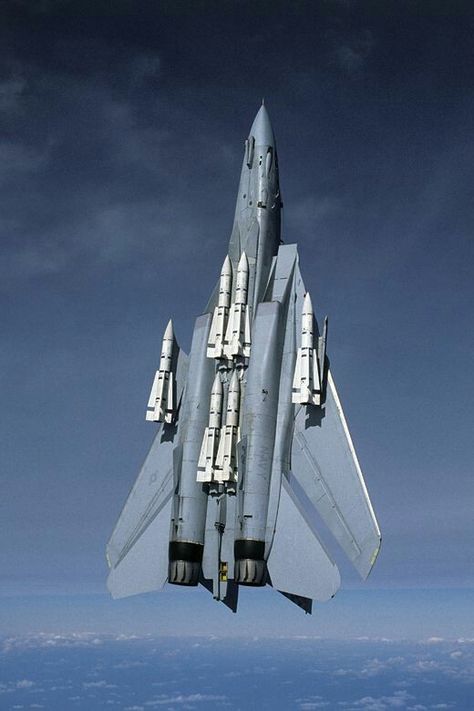 F-14 Tomcat going vertical fully loaded Tomcat F14, F14 Tomcat, Airplane Fighter, F-14 Tomcat, Military Airplane, Air Fighter, Military Jets, Jet Aircraft, Jet Plane