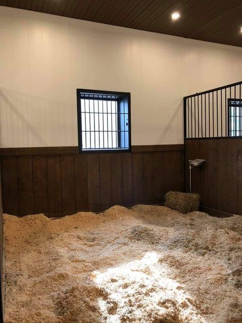 Horse Stall Interior, 2 Horse Stable, Modern Horse Stable Design, Dream Stables Luxury, Forest Oaks Equestrian, Modern Stables, Horse Stable Aesthetic, Stable Layouts, Fancy Horse Barns