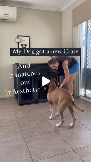 Rescue Dog 🐶 | Pet Content Creator ⭐️ on Instagram: "New Crate for My Dog to Match Our Decor! ✨🏠 
Is your dog crate in need of an upgrade?
⭐️ Gifted by @kustomkennels 
🐶 
Is this not the most beautiful crate you have ever seen?!?! 
Working with @kustomkennels has been such a lovely experience and they have been so polite even when I’ve asked them 50000 questions!
It has completely transformed our dining room area and I love looking at it 
And now I need to style it 😂 im thinking more plants, a candle? What do you think?
🐶 
⭐️ PRODUCT DETAILS⭐️ 
✨ Customised King Suite 
✨ Barn door
✨ Colour: Monument and Espresso
✨ Additional top storage drawer
✨ Rubber mat infill - I put his bed and blankets on top of this
✨ Metal Rebars 
🐶 
This is now one of the most beautiful items of furniture th Bedroom Ideas With Dog Crate, Aesthetic Dog Crate Ideas, Aesthetic Dog Crate, Nice Dog Crates, Puppy Crate Aesthetic, Cute Crates For Dogs, Door Colour, Dining Room Area, Penthouse Suite