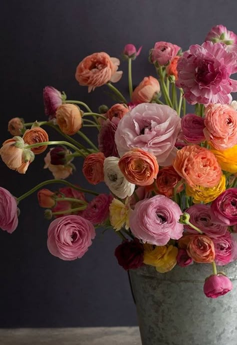 Ranaculus Flowers Wallpaper, Mid Century Floral Arrangements, Ranunculus Flower Arrangements, Ranunculus Garden, Ranunculus Bouquet, Peony Colors, April Flowers, Beautiful Flower Arrangements, Deco Floral