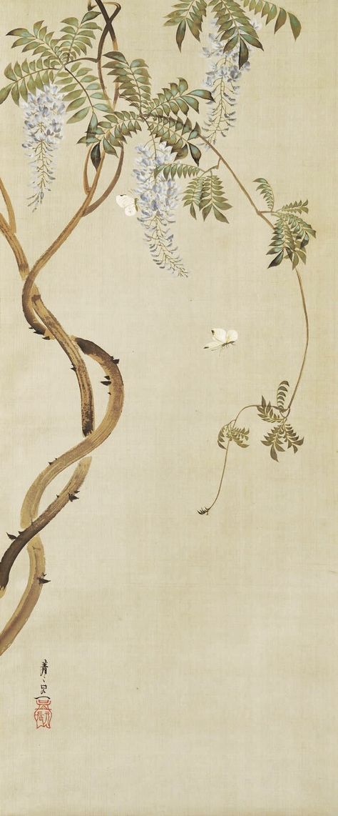 Flowering Wisteria By 鈴木其一 Suzuki Kiitsu; ink and colors on silk. Japanese hanging scroll. Nineteenth century. Edo period. Japanese Wisteria Tattoo, Wisteria Japan, White Moths, Japanese Wisteria, Wisteria Vines, Plant Reference, Japanese Scroll, Vine Drawing, Japanese Plants