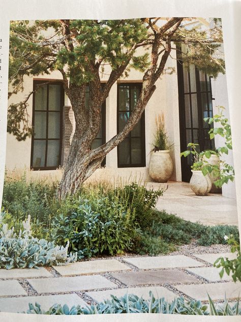 Mexico Garden, Southwest Landscaping, Bedroom Palette, Turkey Hill, Native Plant Gardening, Perennial Border, Most Beautiful Gardens, Backyard Inspiration, Outdoor Living Patio